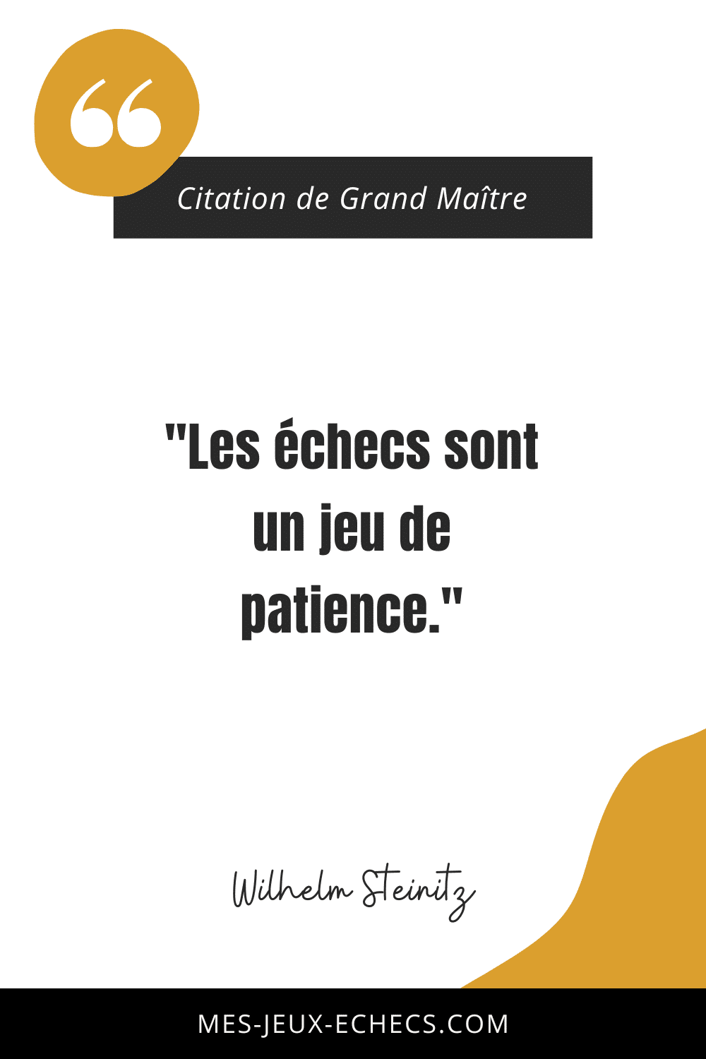 Dopez votre mindset avec les meilleurs citations des Grands Maîtres 12 11