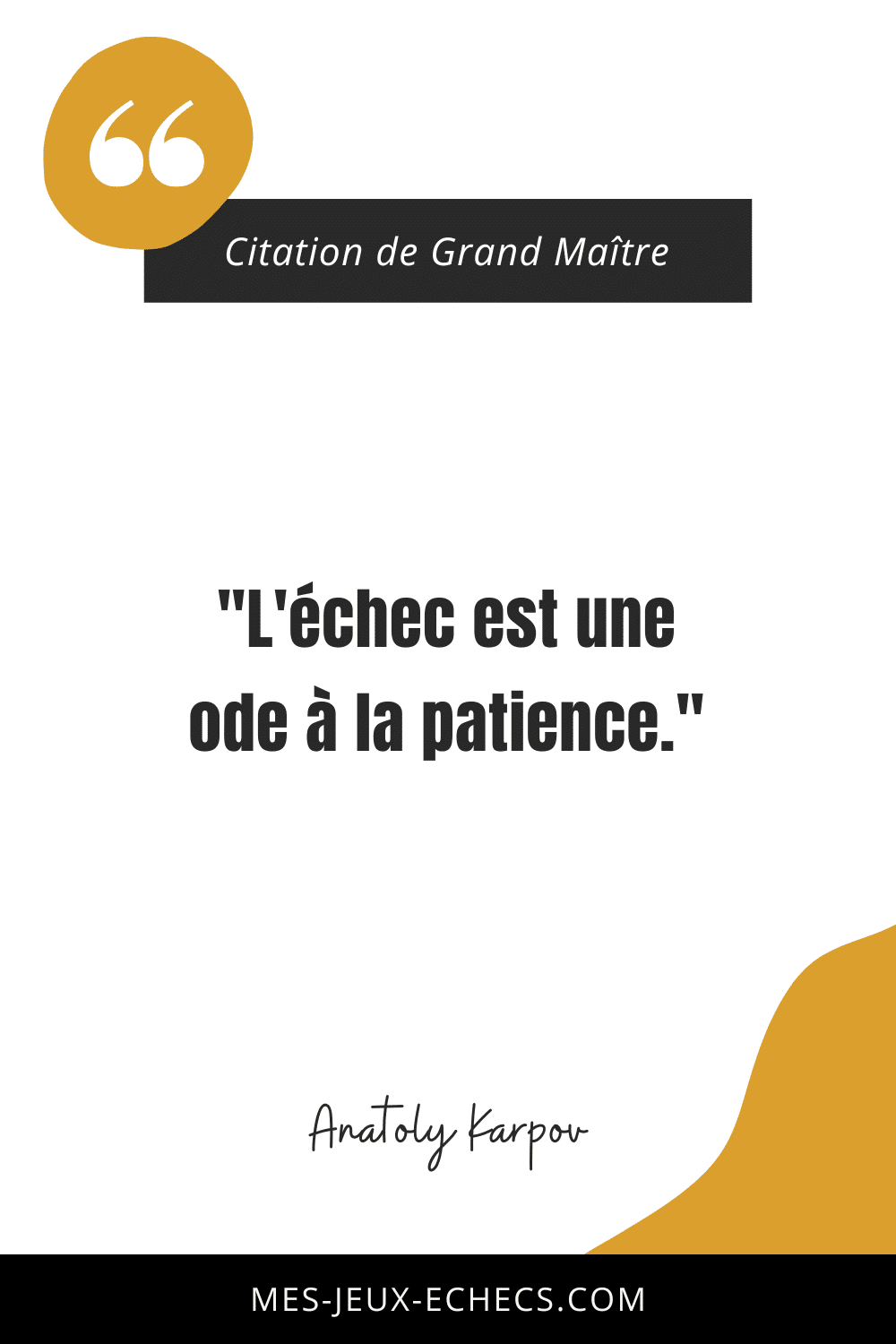 Dopez votre mindset avec les meilleurs citations des Grands Maîtres 4 "L'échec est une ode à la patience." - Anatoly Karpov